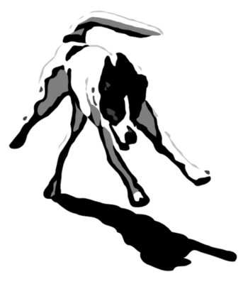 Crazy_Dog_img