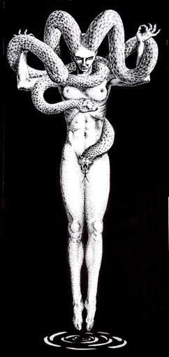 Medusa_img