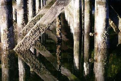 Under_Okeover_img